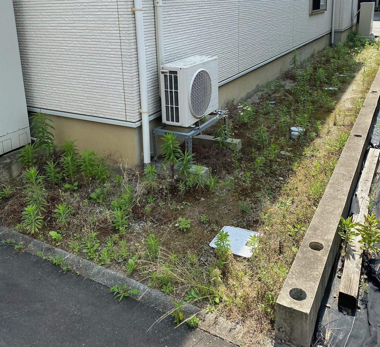 雑草対策もオシャレに♪ | GREEN BASE